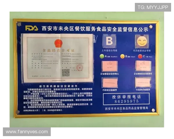 开云集团app安全性分析及隐私保护措施，保障用户信息安全