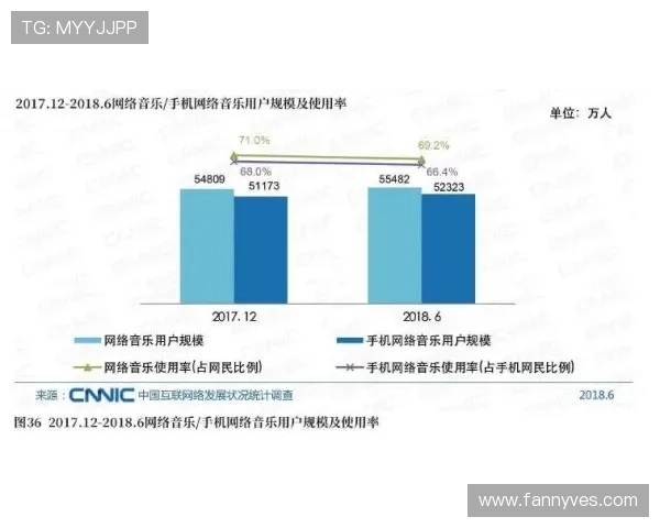 中国开云在中国市场的品牌建设与消费者认知提升策略探讨